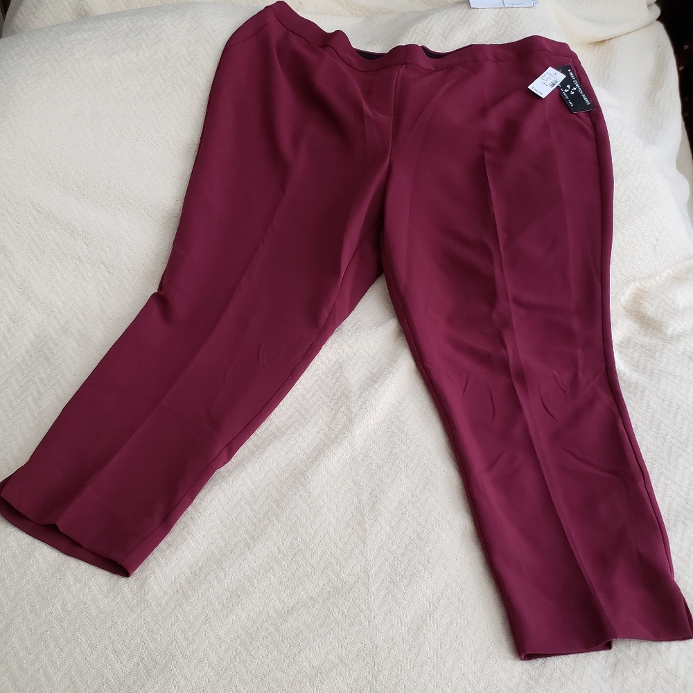 C8,635 Roz & Ali Burgundy Pants Classic Fit